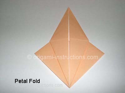 completed petal fold