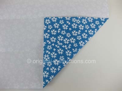 origami-chopstick-wrapper-step-4