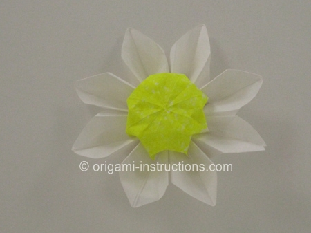 origami-common-daisy