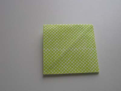 origami-squash-fold-example-1