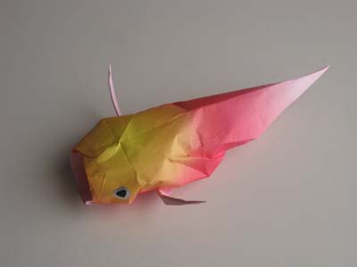 24-origami-koi