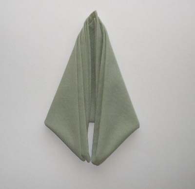 Napkin Folding - Bird of Paradise - Photo Diagrams 5