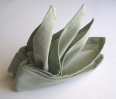 cloth napkin folding