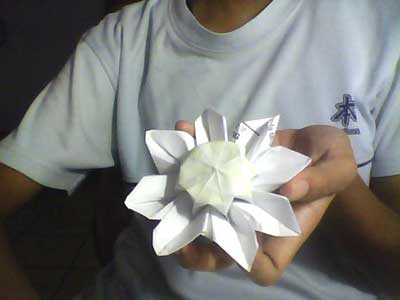 origami-daisy