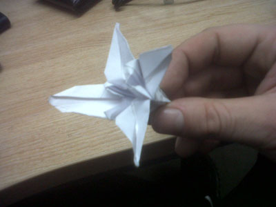 origami-lily