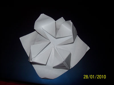origami-lotus