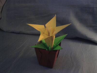origami-lily
