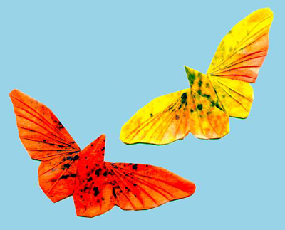 origami-butterfly at origami-instructions.com