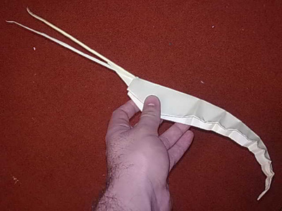 origami-shrimp