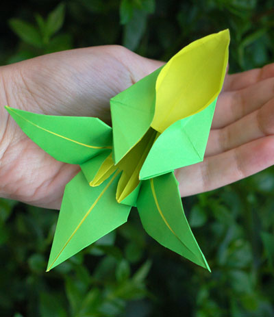 Origami Lily at origami-instructions.com