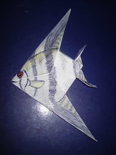 origami-fish