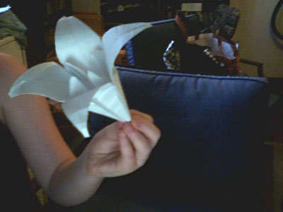 Origami Lily at origami-instructions.com