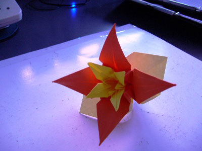 Origami Lily at origami-instructions.com