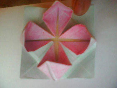 Origami Lotus at origami-instructions.com