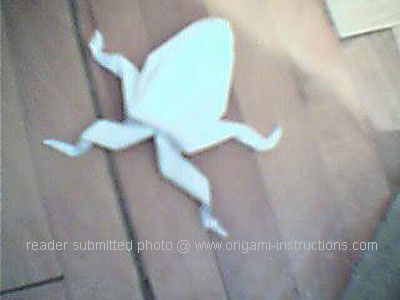 Origami Frog at origami-instructions.com