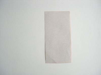 square paper converted to rectangle by tearing