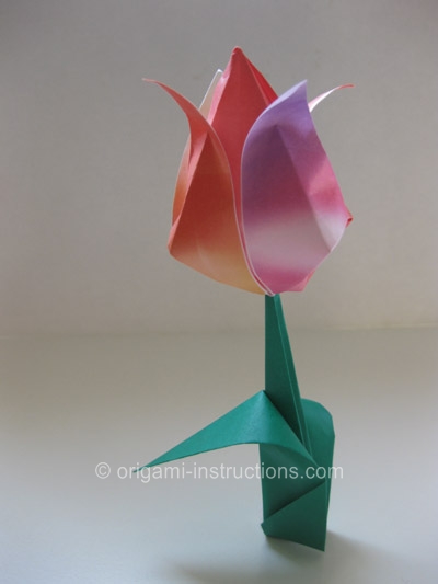 origami-traditional-tulip-leaf-step-10