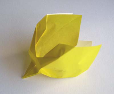 Origami BIRD  How to fold a paper BIRD? (easy) 🐤🐤🐤 