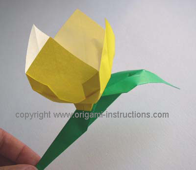 Origami Tulip Flower Photo Diagrams 24